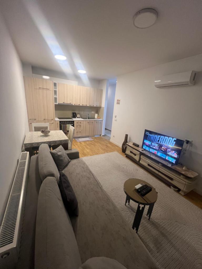 Luxury & Green Apartments , near City Center, Free Parking 5