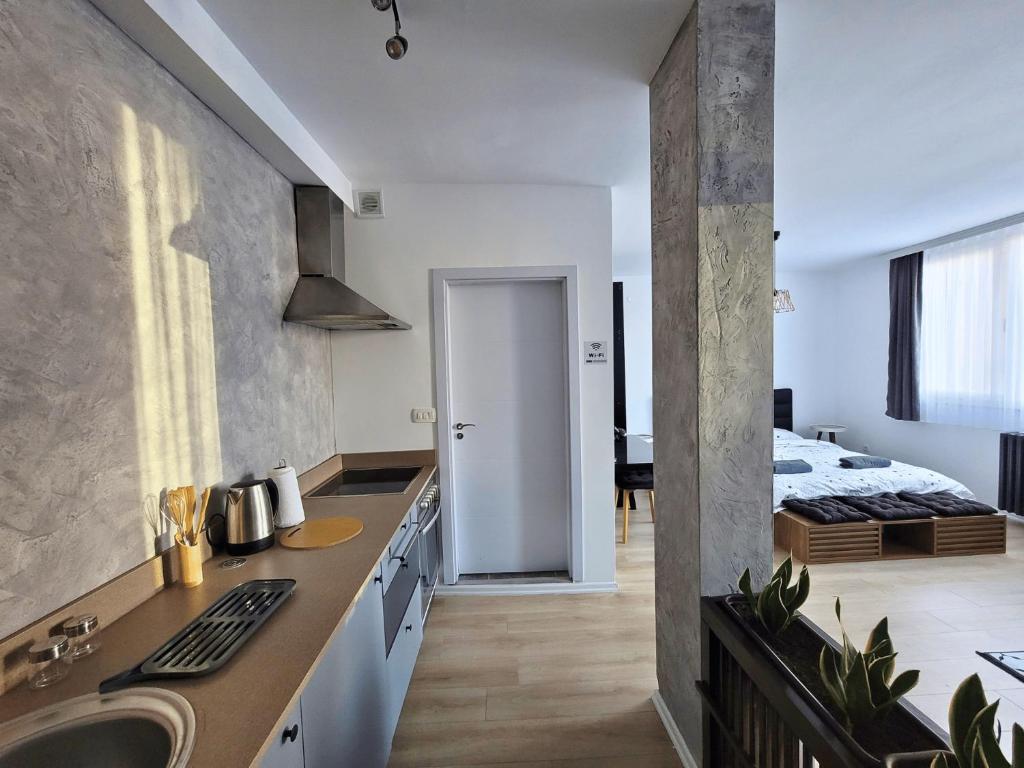Central Studio Apartment 7