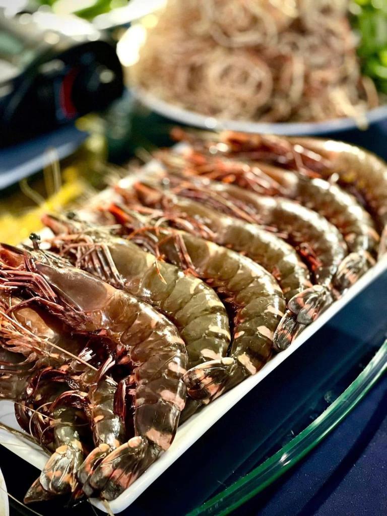 CAT BA GRAND BUDAPEST