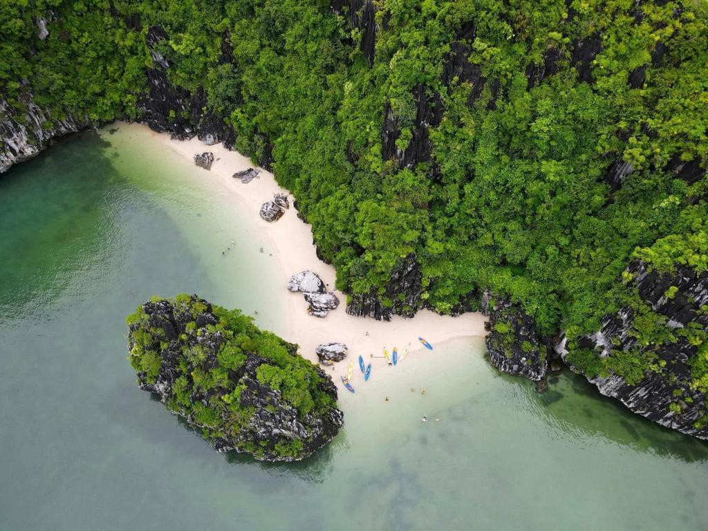 CAT BA GRAND BUDAPEST