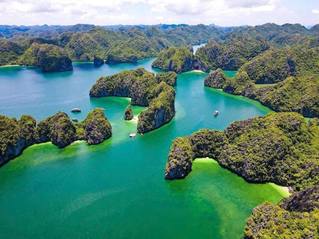 CAT BA GRAND BUDAPEST