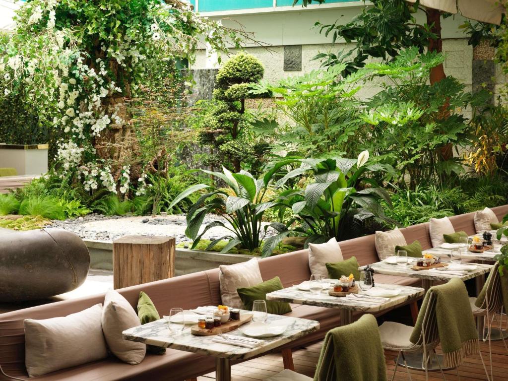 Sanderson London 7