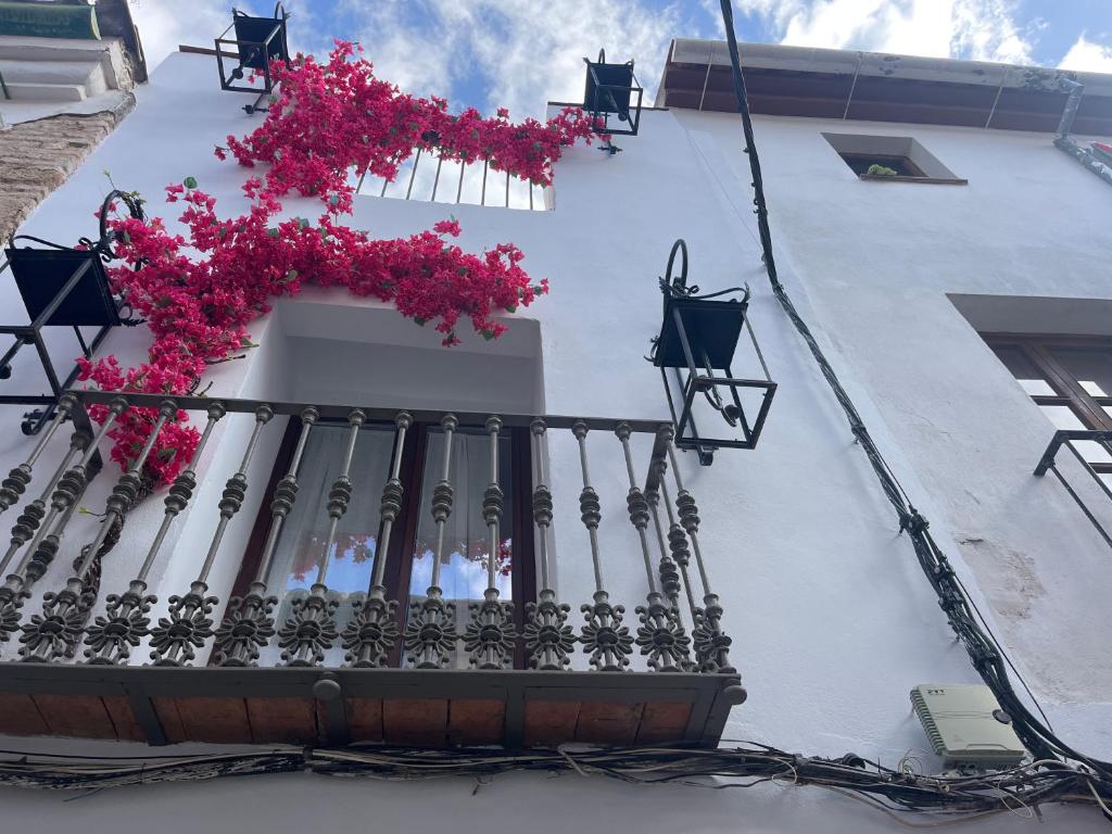 Corazón 23 8
