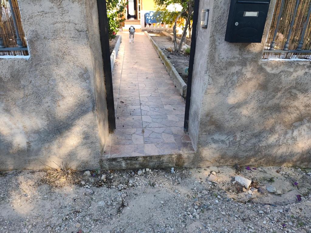 Finca La Senorita 8