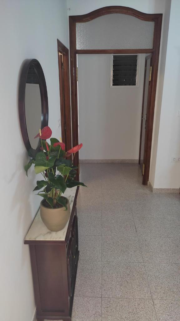 Casa Fernando y Maruja 7