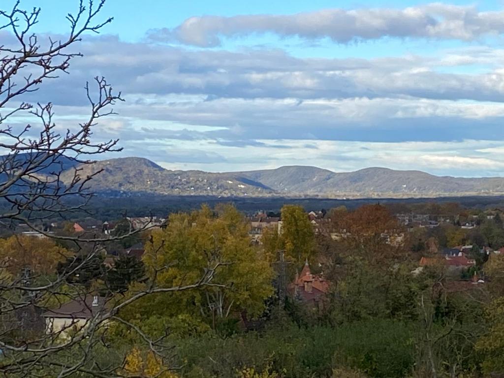 Stockholm Vendégház 8