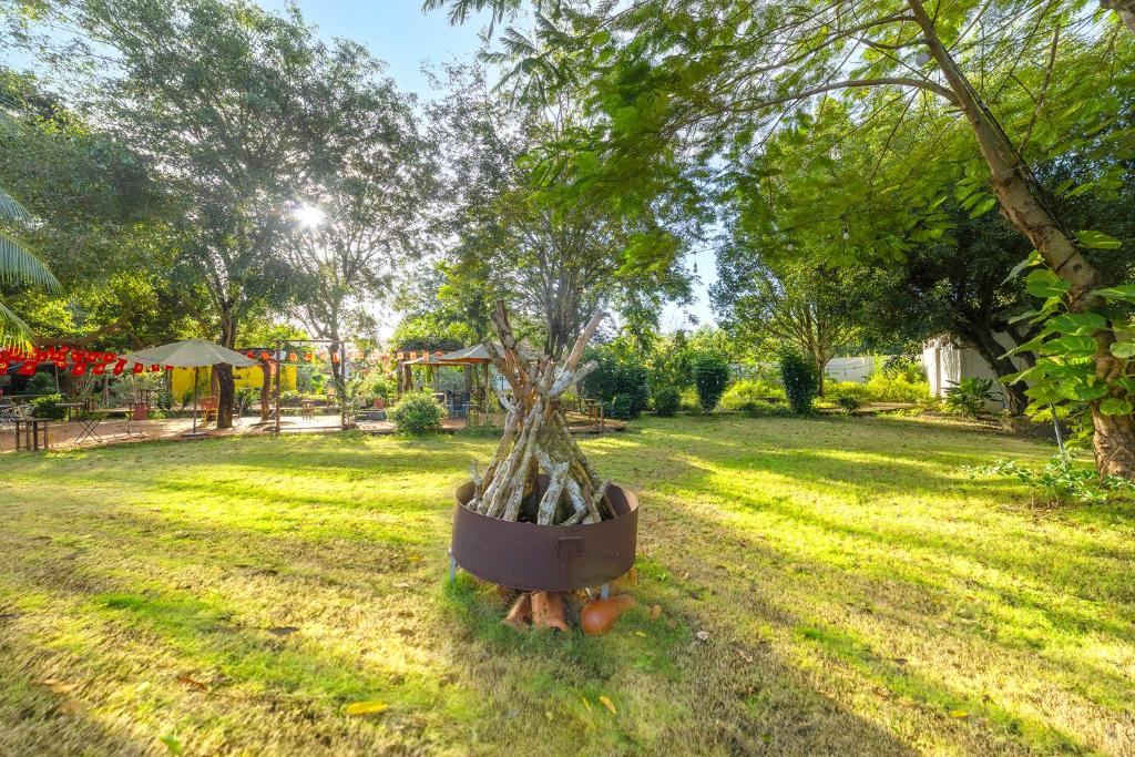 Hồ Cốc Park & Resort