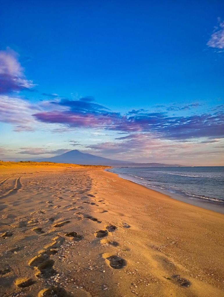 une plage avec des empreintes dans le sable et l'eau dans l'établissement Mg Palace Hotel Costa del Sole, à Vaccarizzo - Delfino