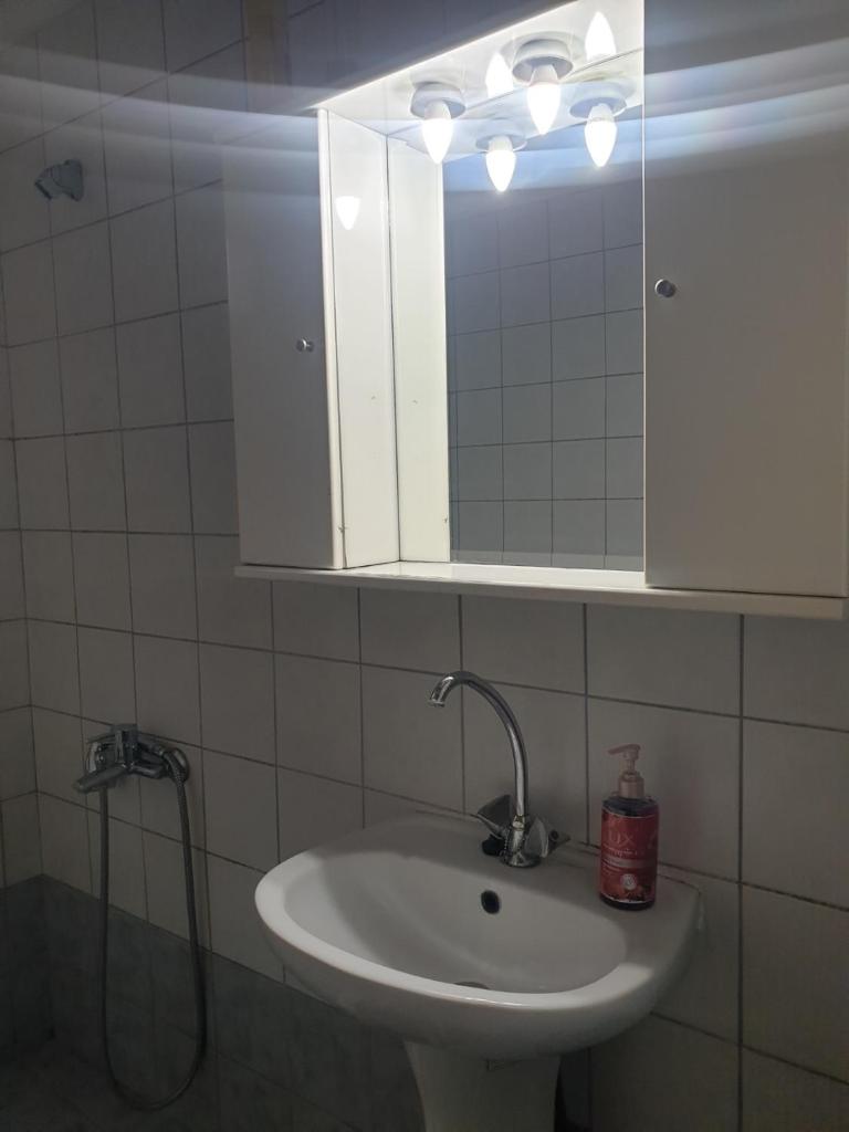 Green house - Apartment in Aridaia-Loutra Pozar 2