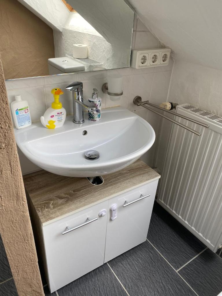 Ruhige Wohnung Saarbrücken Waldrand 6