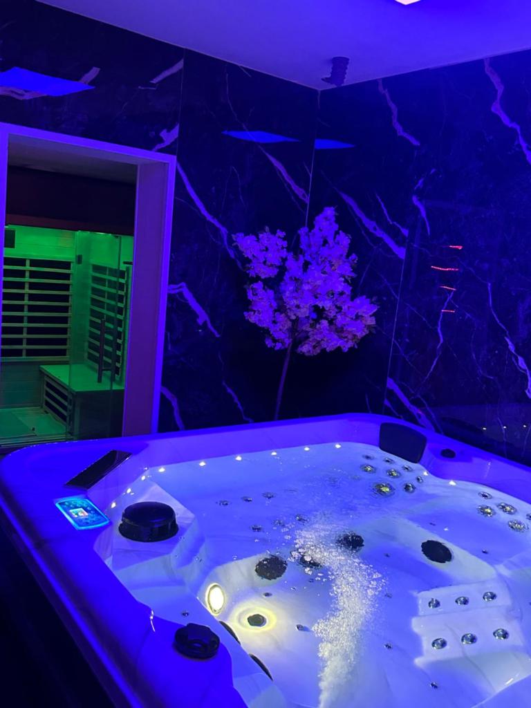 Dream Spa Jacuzzi&Sauna 8
