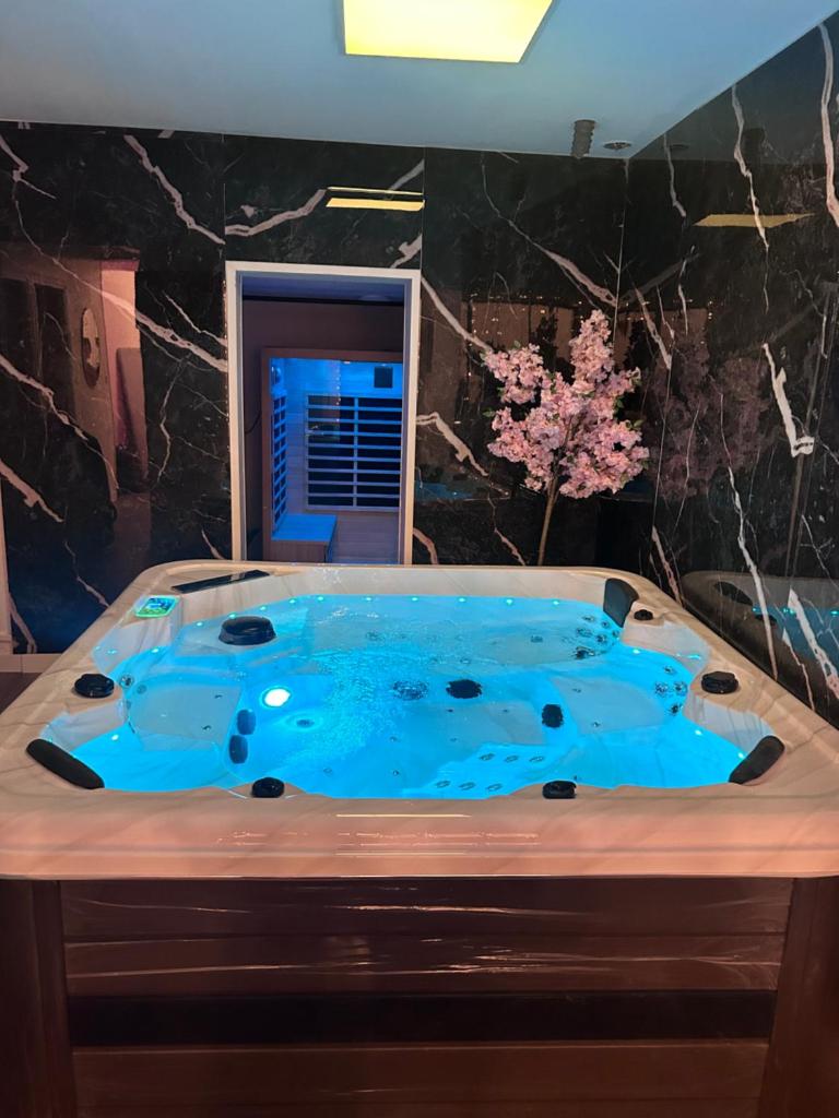 Dream Spa Jacuzzi&Sauna 6