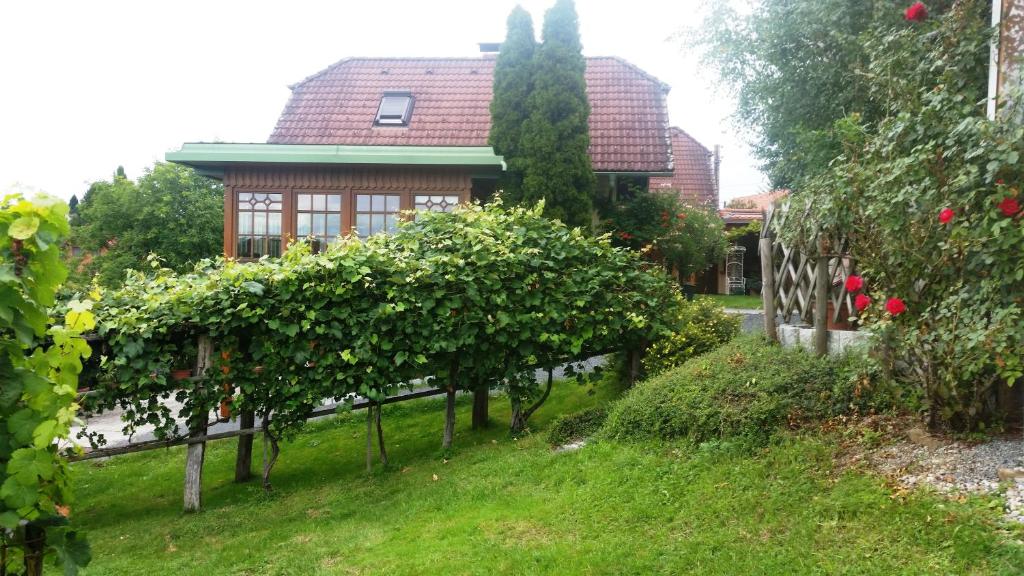 Ferienwohnungen Soravia 8