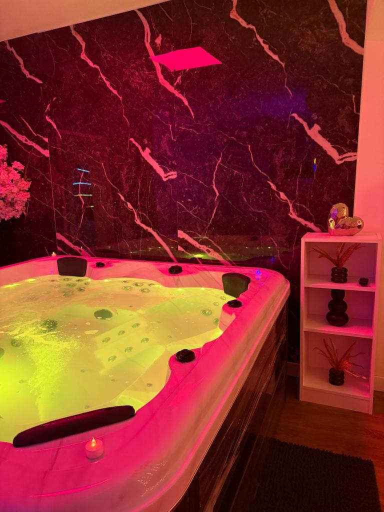 Dream Spa Jacuzzi&Sauna 3