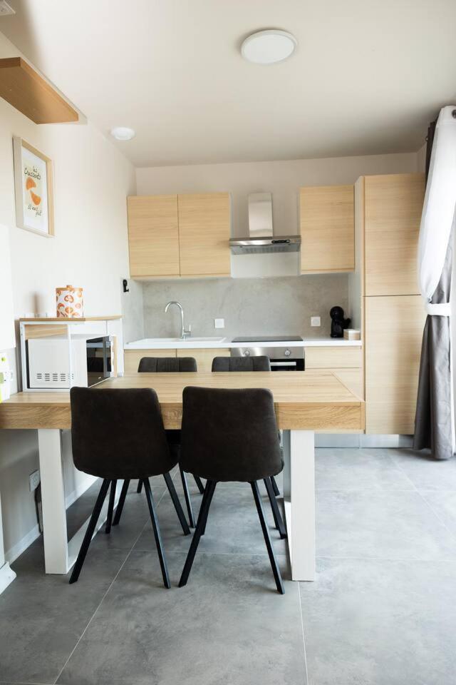 Maison MUGUET 2 SPA-PARKING-COLMAR 4