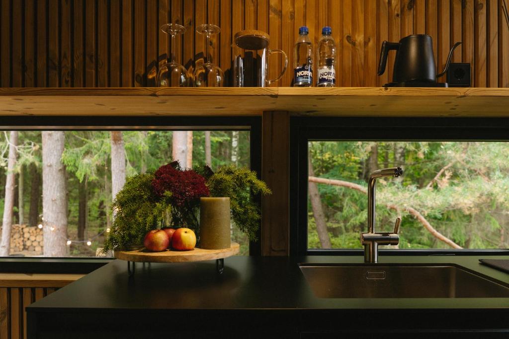 Blackview cabin 4