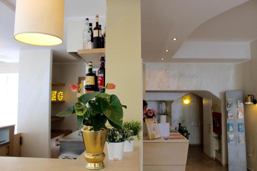 une cuisine avec une table et une plante dans un vase dans l'établissement King Hotel, à Cesenatico