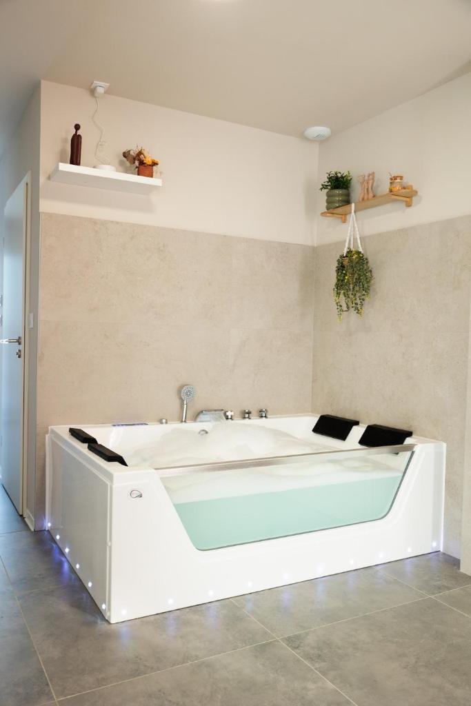 Maison MUGUET 1 SPA-PARKING-COLMAR 8