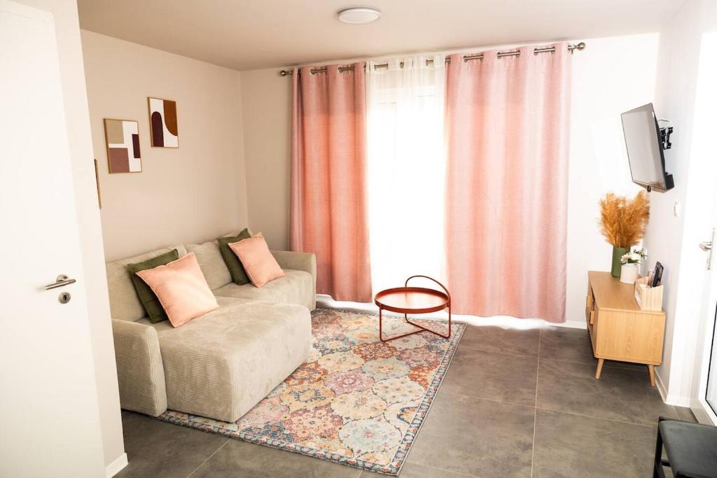 Maison MUGUET 1 SPA-PARKING-COLMAR 1