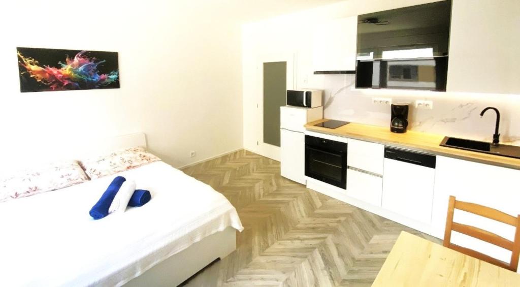 Apartment Brno Center 6