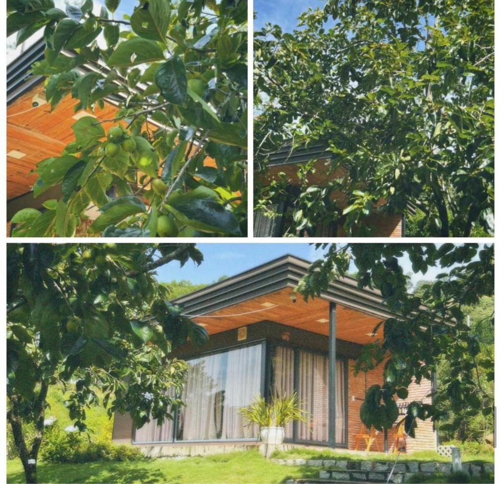 Scent Bungalow - Village