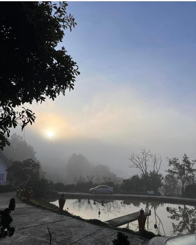 Scent Bungalow - Village