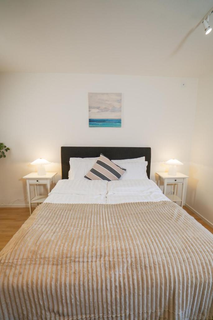 Fully Equipped Studio in Prime Linné and Haga 3