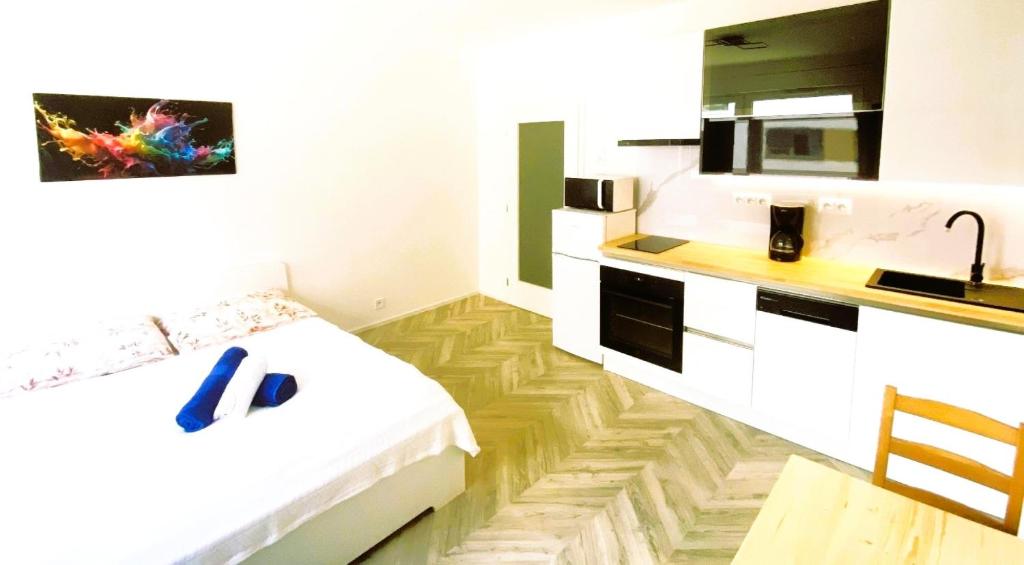Apartment Brno Center 3