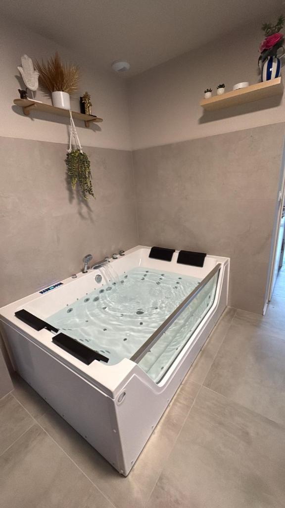 Maison MUGUET 4 SPA-PARKING-COLMAR 3