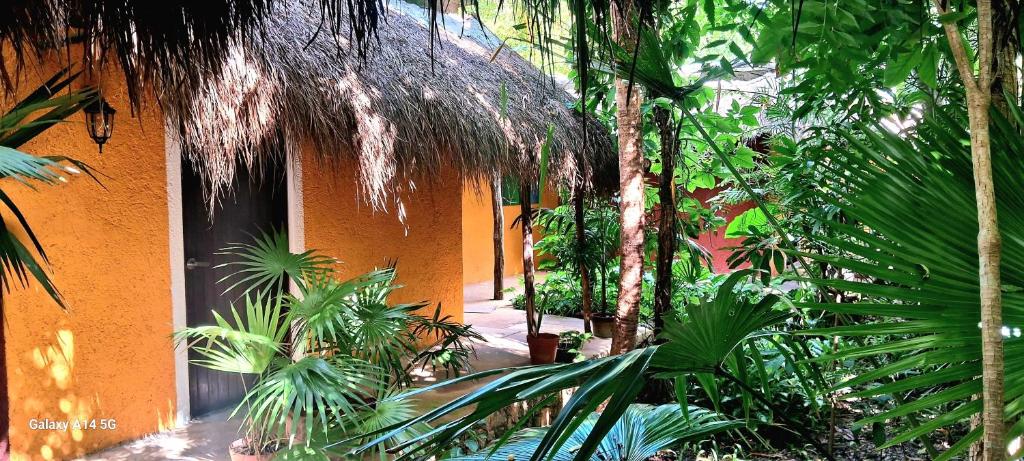 Casa Don Diego