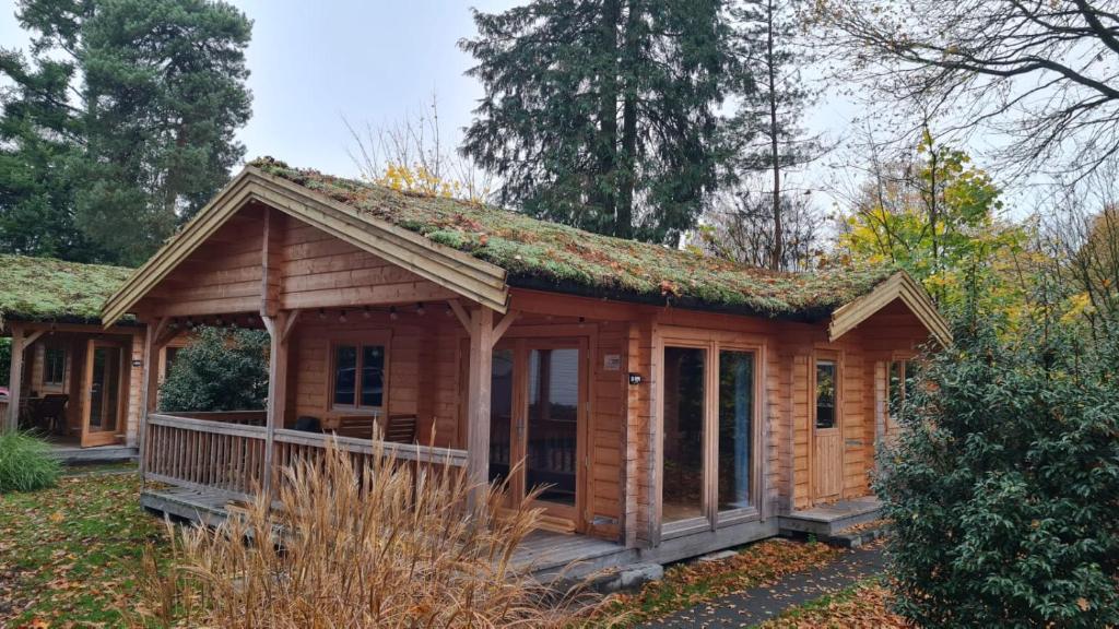 HderH - Eco Lodge op vakantiepark De IJsvogel, zwembaden, kids fun, natuur en rust 2