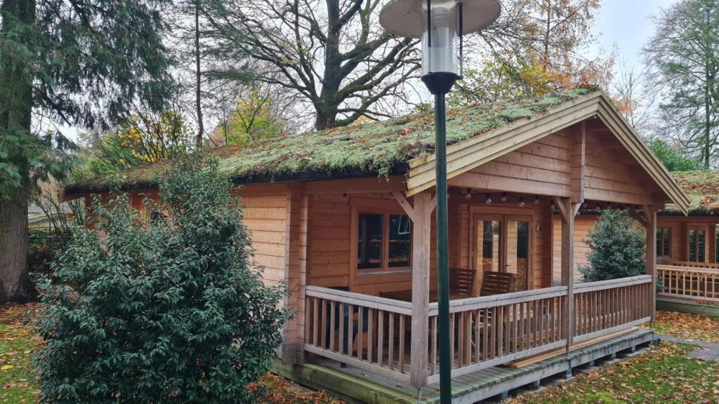 HderH - Eco Lodge op vakantiepark De IJsvogel, zwembaden, kids fun, natuur en rust 3