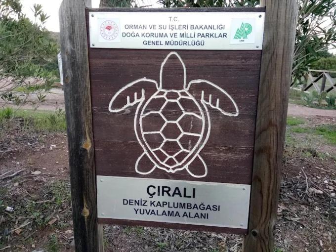 Cirali Camping 8