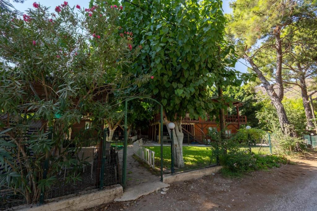 Cirali Camping 6