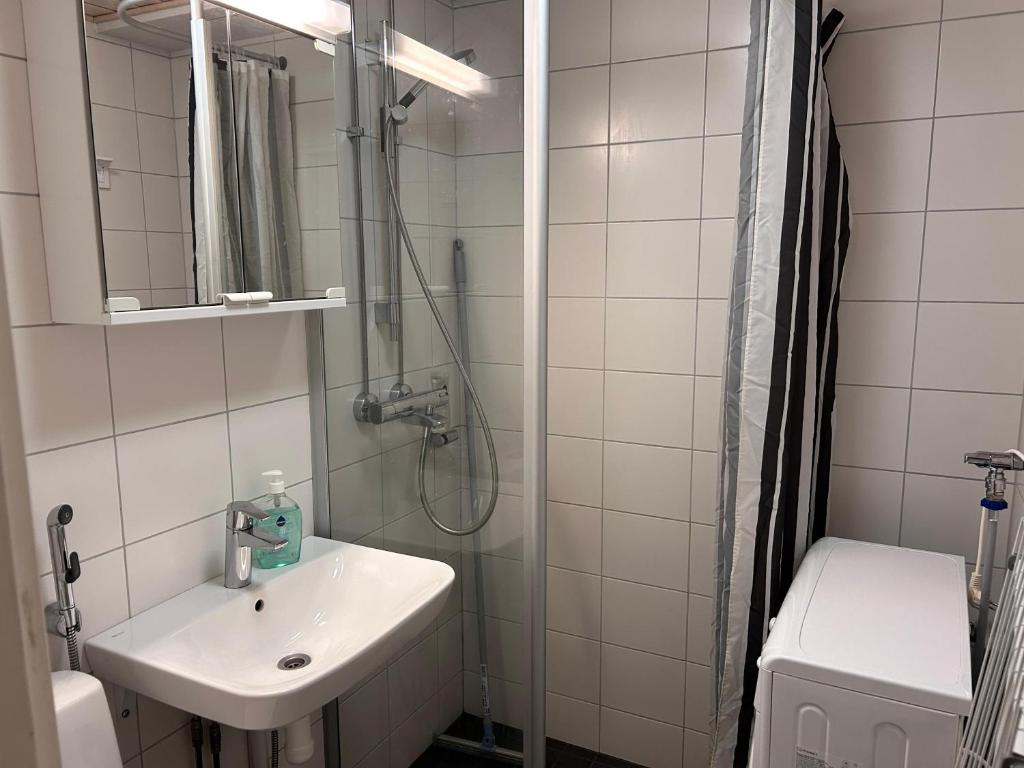 Kotimaailma Apartments - 1BR in city center of Turku 7