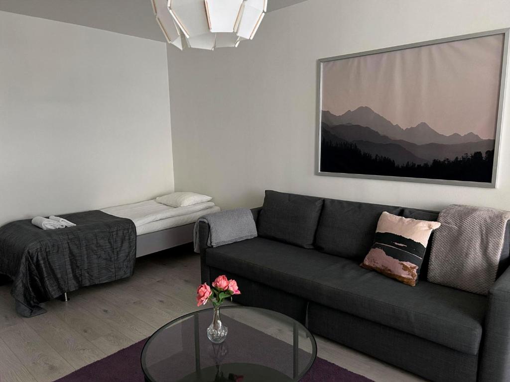 Kotimaailma Apartments - 1BR in city center of Turku 3