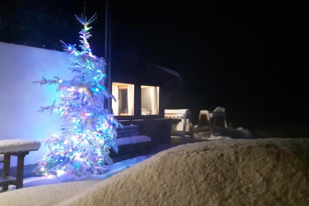 Gruppenhaus Hirzhof Ski In Ski Out Sommercard 3