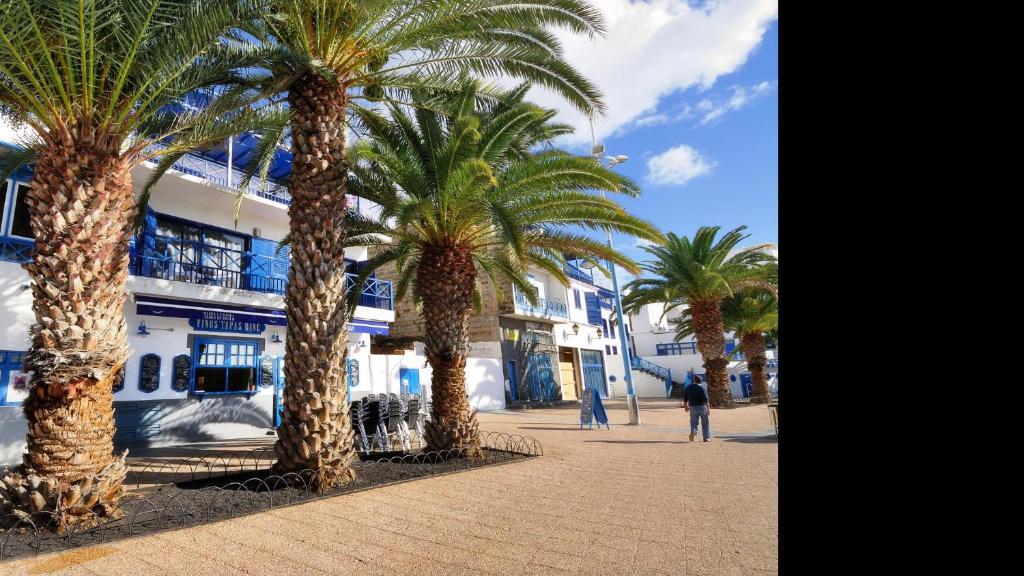 Apartment La Marina Sea Views with terrace By PVL 6