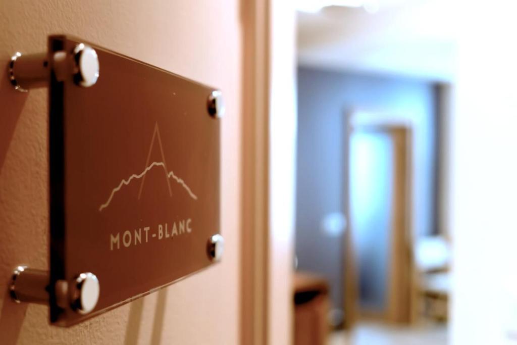 Mont Blanc - Emplacement n1 au centre d'Annecy 8