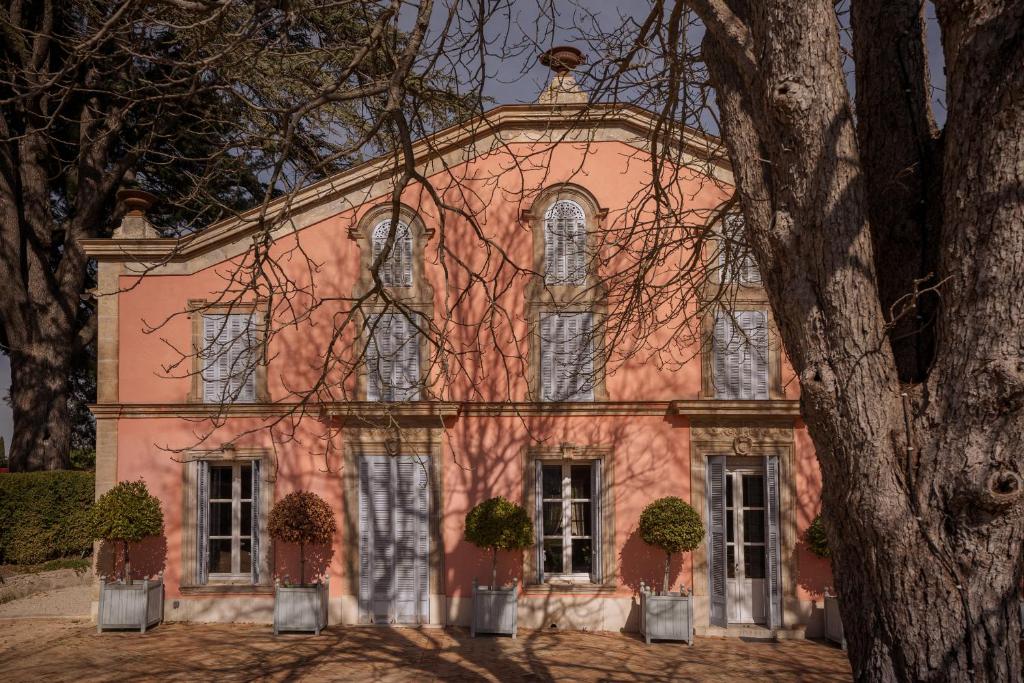Grand Cèdre