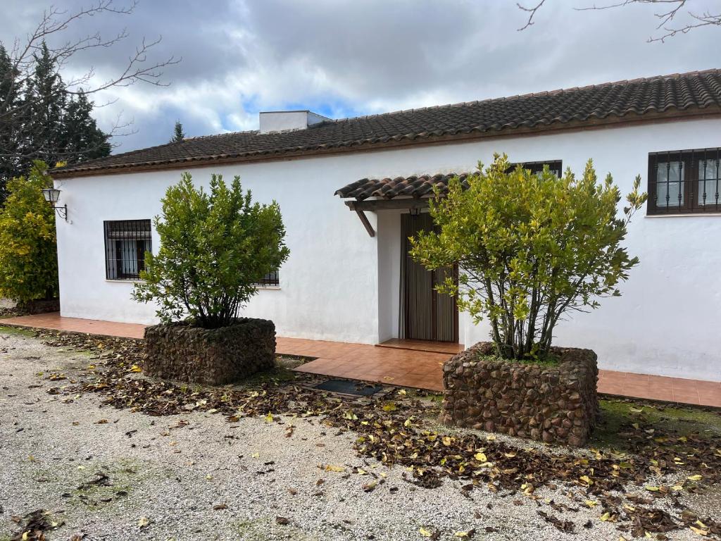 Casa Rural Piedras Negras, La Parchite, Ronda 7