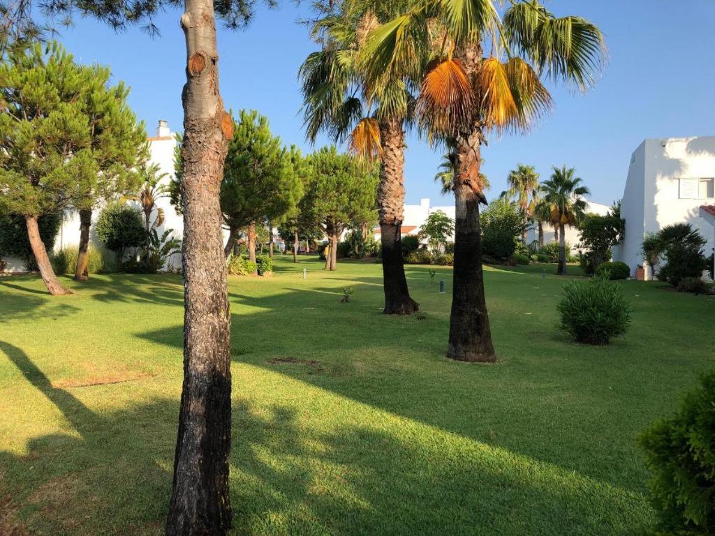 Casa Hortensia 8
