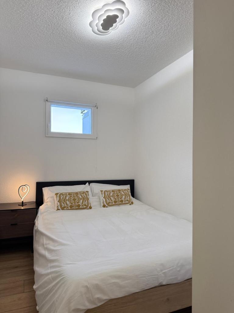 Torrent House 2