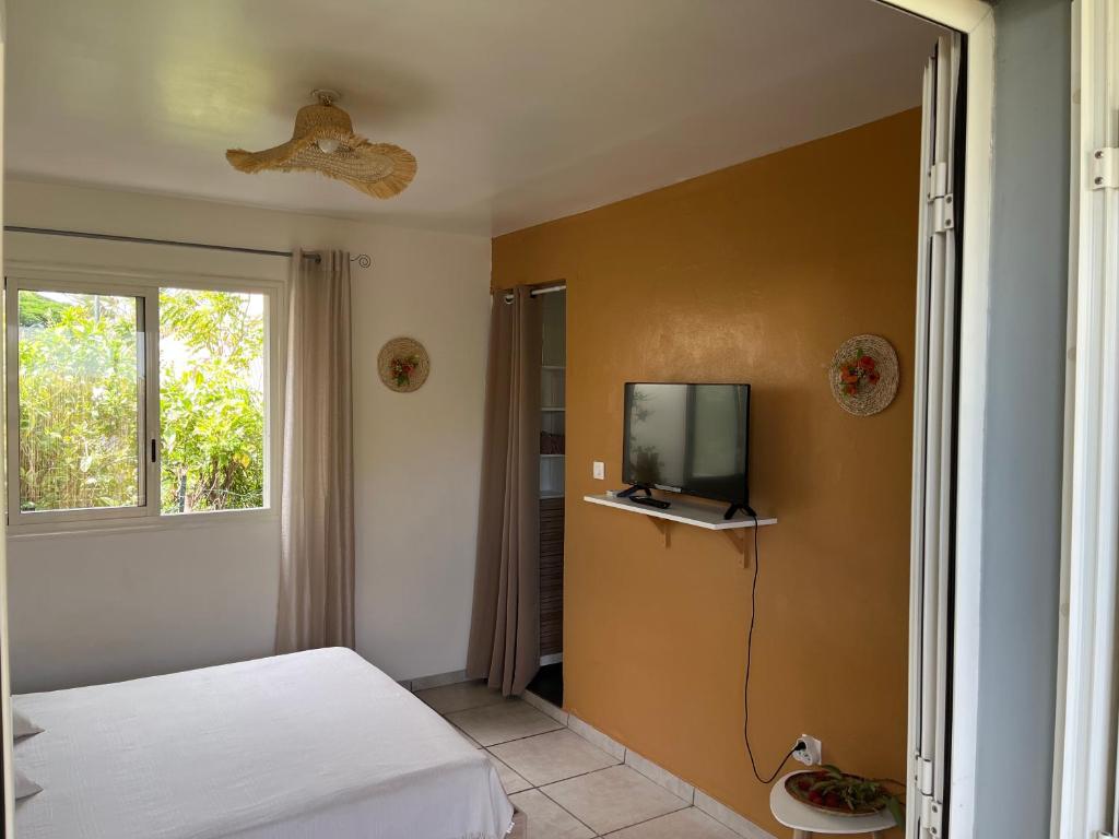 lagon studio ermitage 4