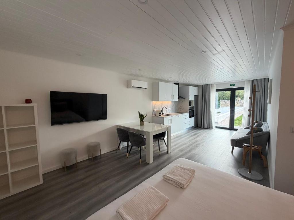 Vila Pombal Tomar Apartments - Pool & City Views 5