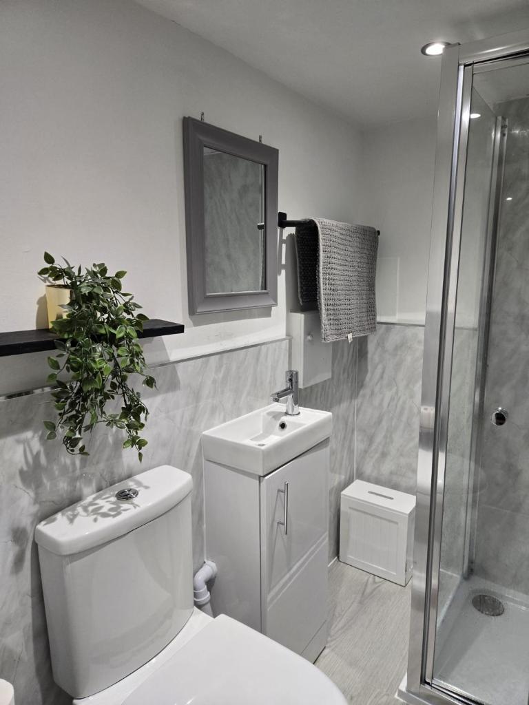 Modern One-bed Flat in Armley 3
