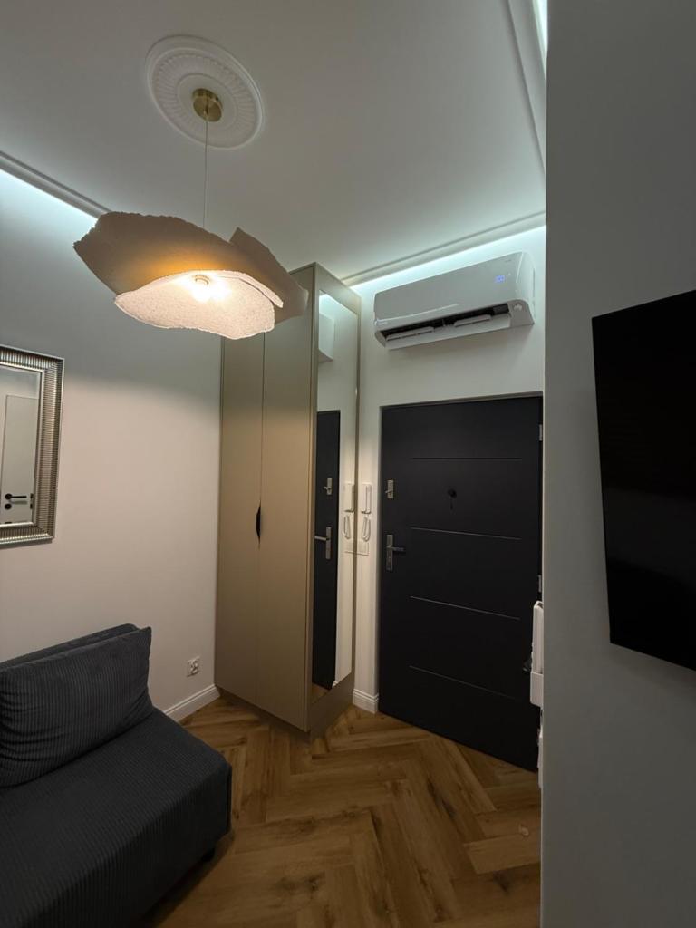 Batorego Studio 5