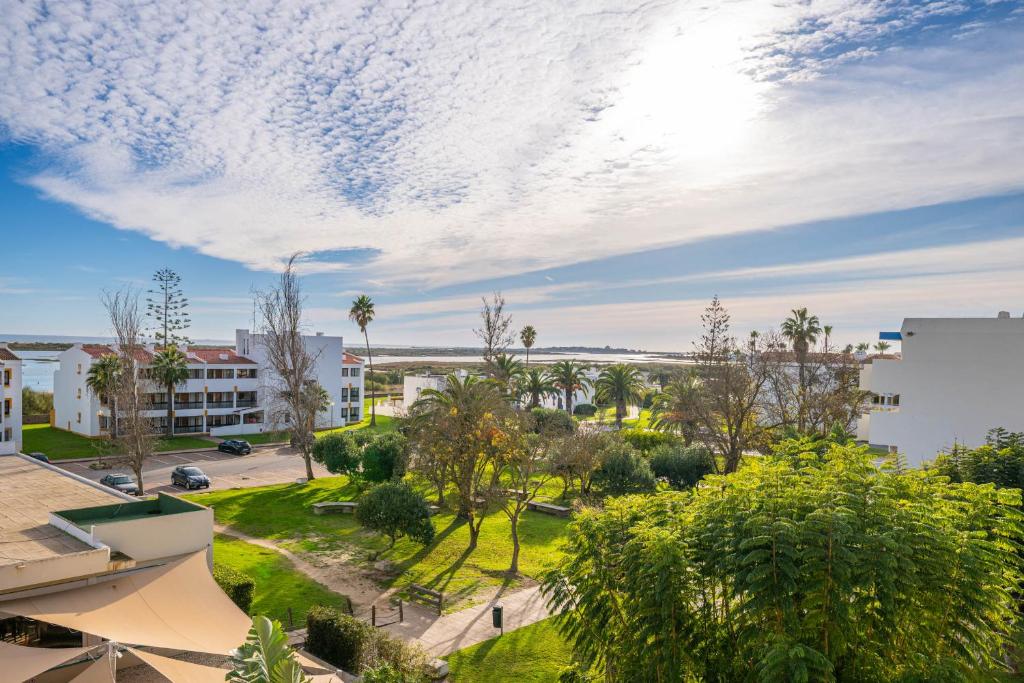 Golden Top Floor Ocean View Pools & Beach Access 7