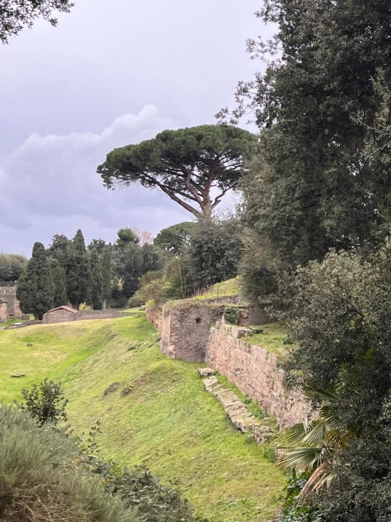 Casa Vacanze Femarì 8