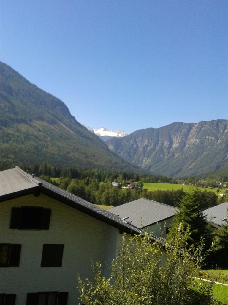 Wohnung Alpencottage 8